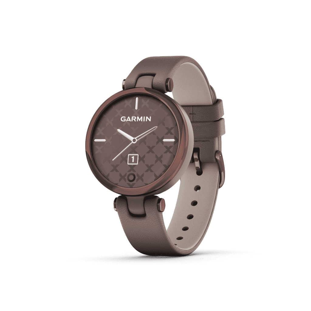 harga garmin lily