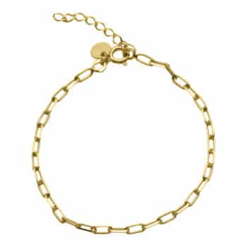 Aqua Dulce LINKY Armbånd 3614