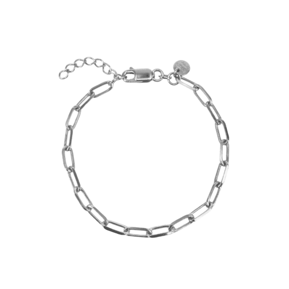 Aqua Dulce MORE LINKY Armbånd 4902