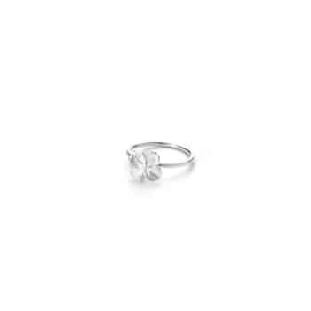 Flora Danica Firkløver Ring 907.FLC-RI-S
