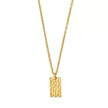 Son Of Noa stålkæde med plade IP gold 55 cm 20890272800