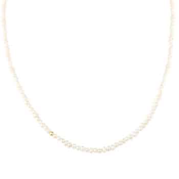 Aqua Dulce Love Pearls halskæde forgyldt sølv 40+5 cm 7148
